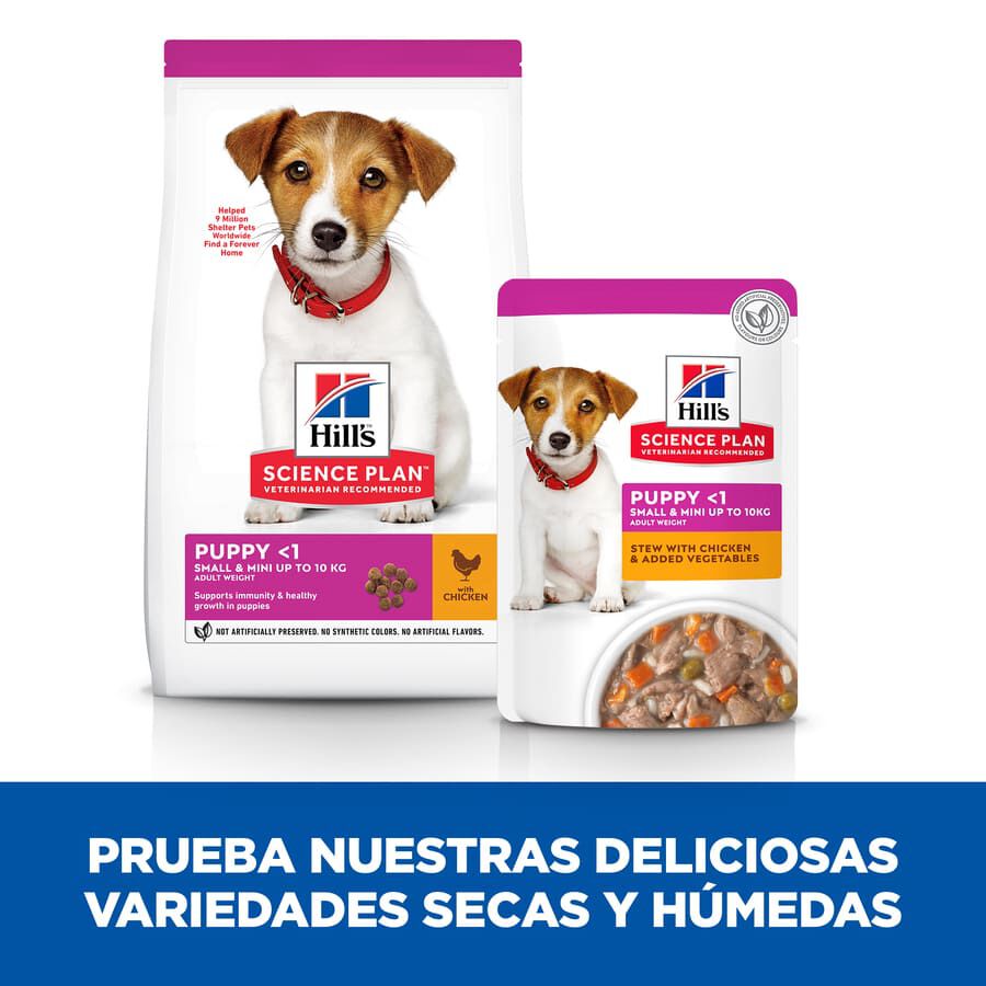 80 g Hill's Science Plan Puppy Small&Mini Estofado de Pollo y Vegetales sobre, , large Imagen numero 7